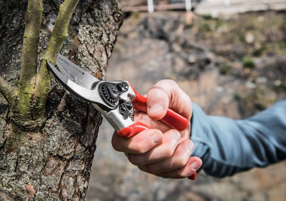 Zahradnické nůžky na větve stromů a keřů